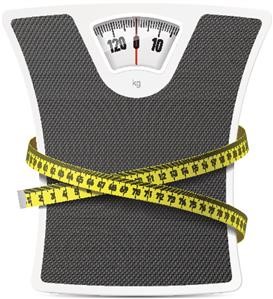 Weekly Meal Planner Keto